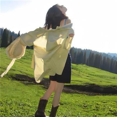 风云之拳破苍穹