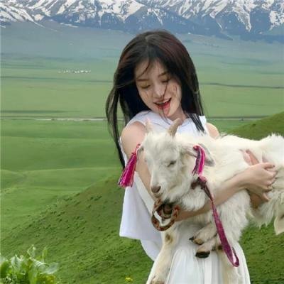 回转企鹅罐 剧场版 前篇